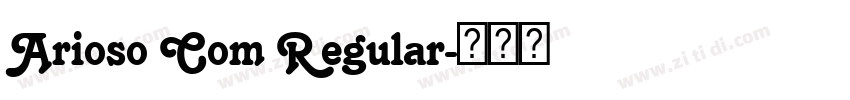 Arioso Com Regular字体转换 Arioso Com Regular字体转换